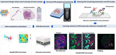 Challenges and Opportunities for Immunoprofiling Using a Spatial High-Plex Technology: The NanoString GeoMx® Digital Spatial Profiler